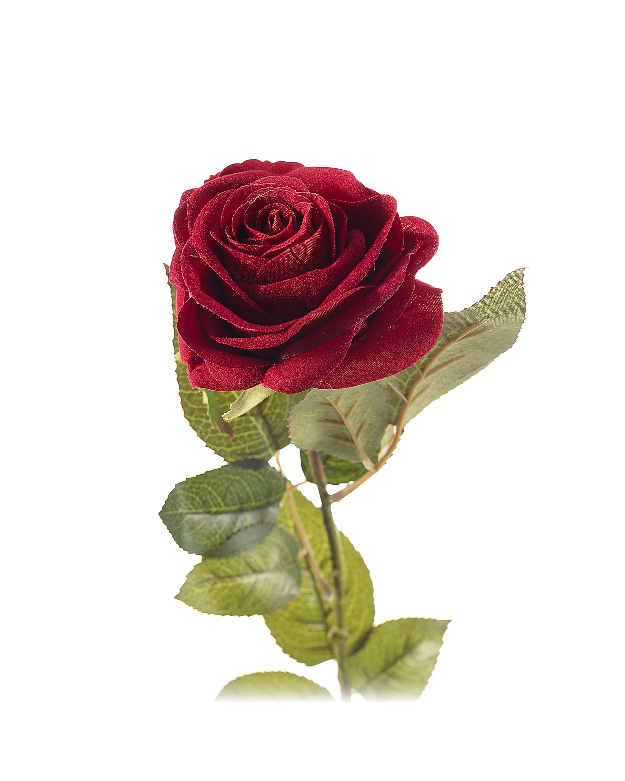 Aritficial flower Rose 67cm