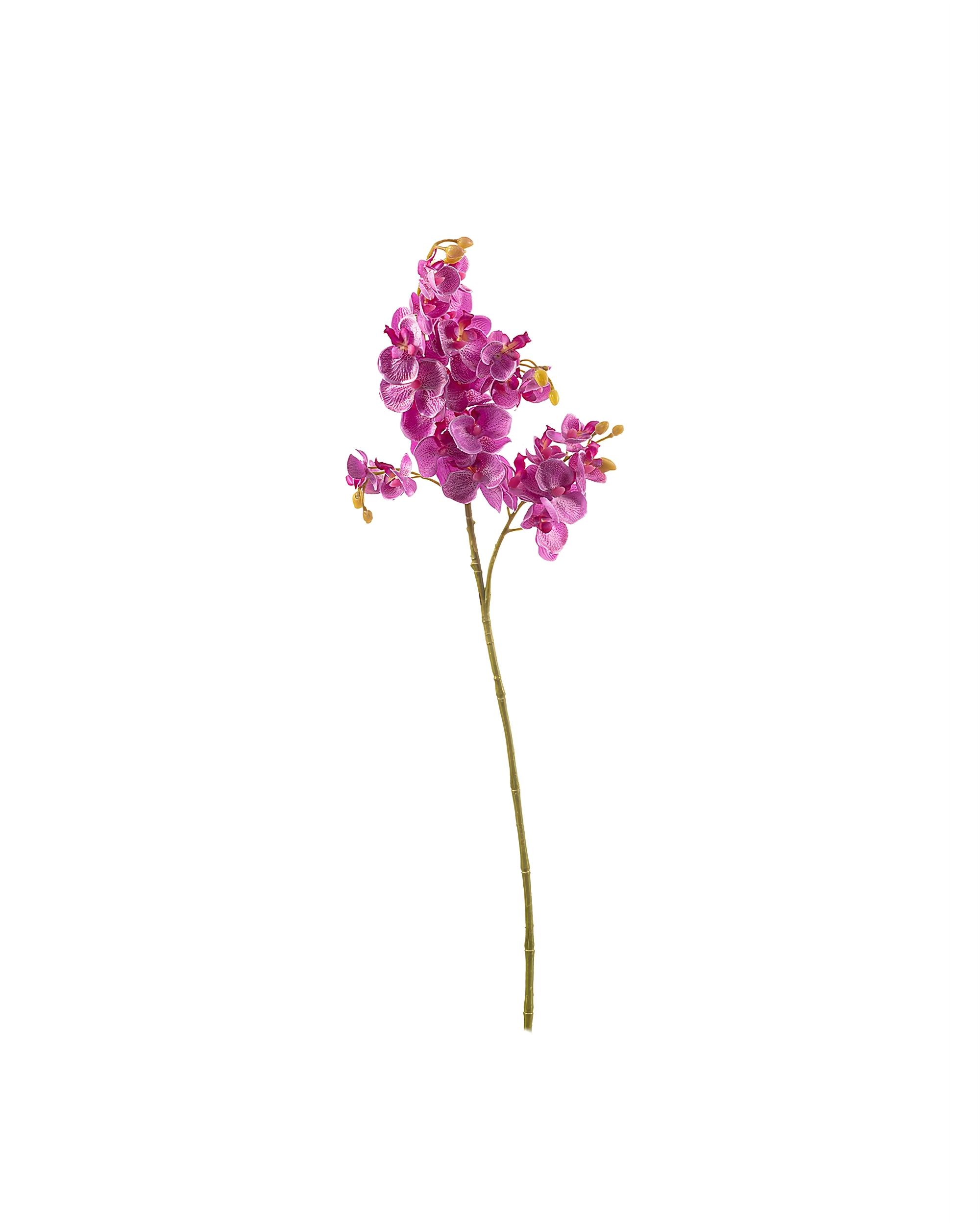 Aritficial flower Orchid Fuchsia 55cm