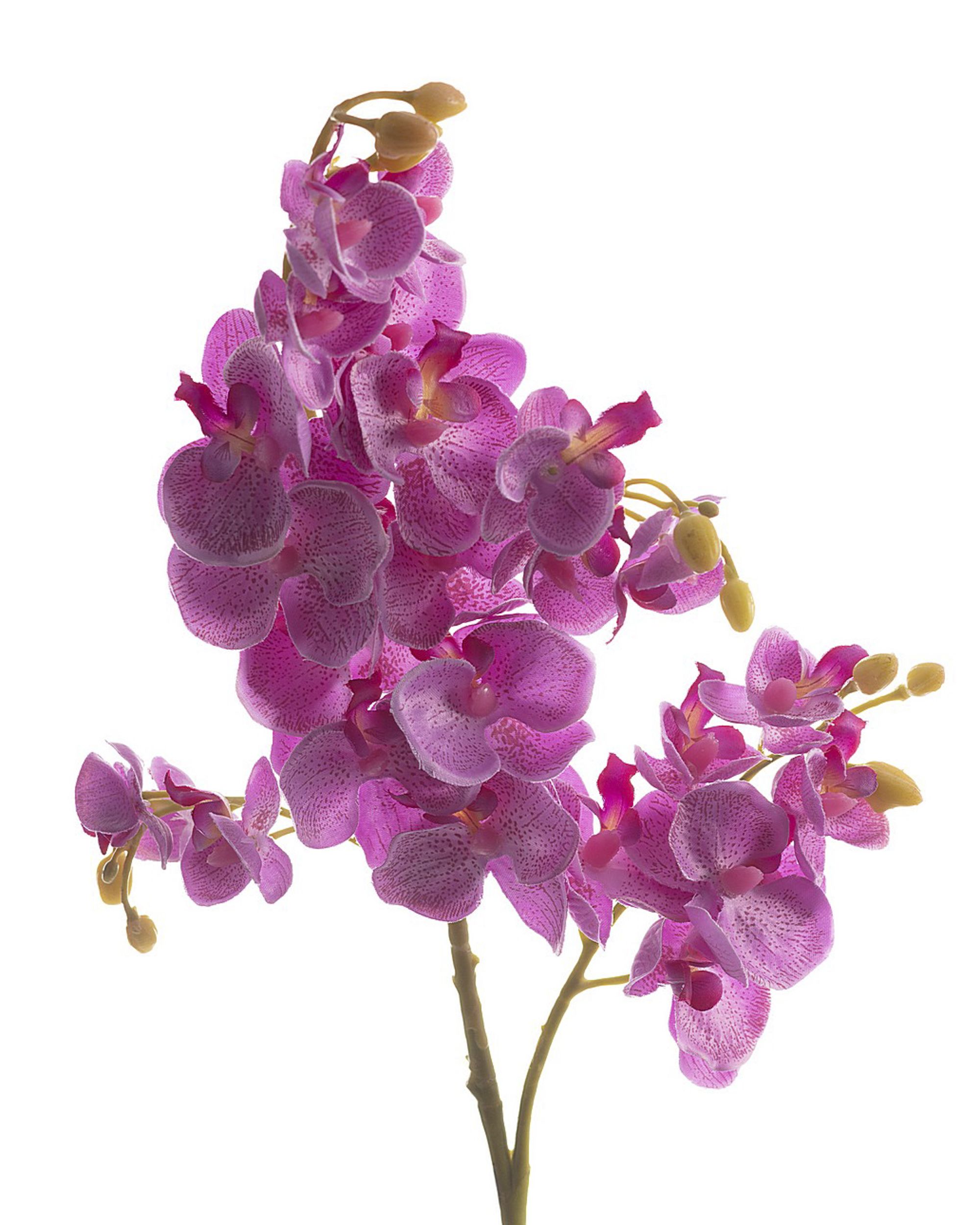 Aritficial flower Orchid Fuchsia 55cm (hover)