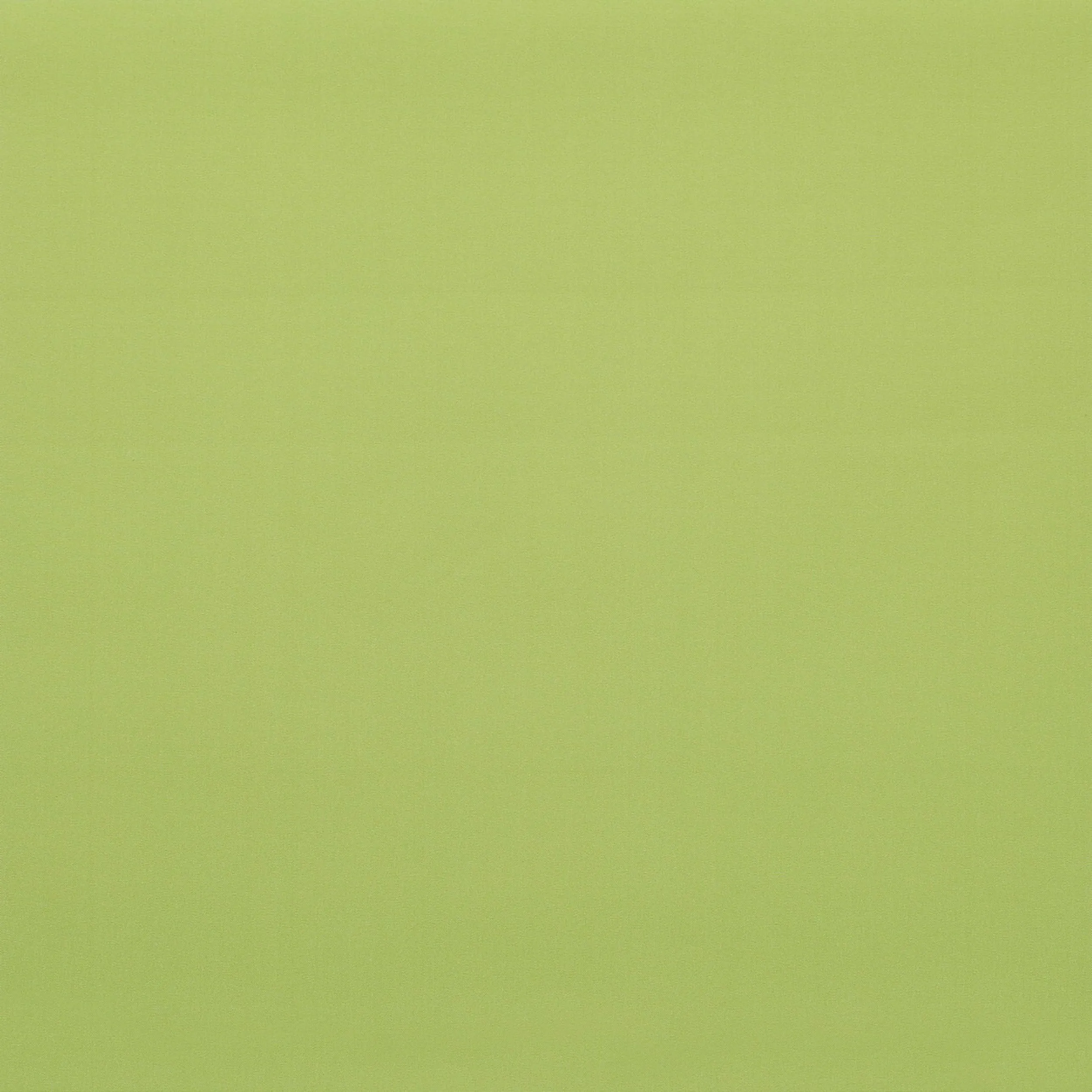 Blackout – roller blinds MGR205 green